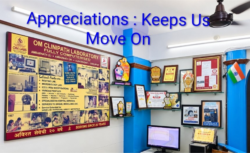 Wall Of Appreciations At Om Lab — Certificates, Trophies And Mementoes